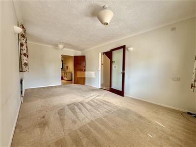 Picture 6